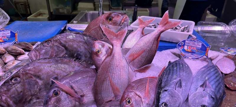 МАГАТЭ помогает бороться с фальсификацией морепродуктов при помощи ядерных технологий